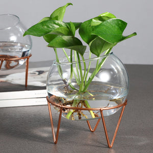 Dainty Glass Rose Gold Stand Planters The June Shop