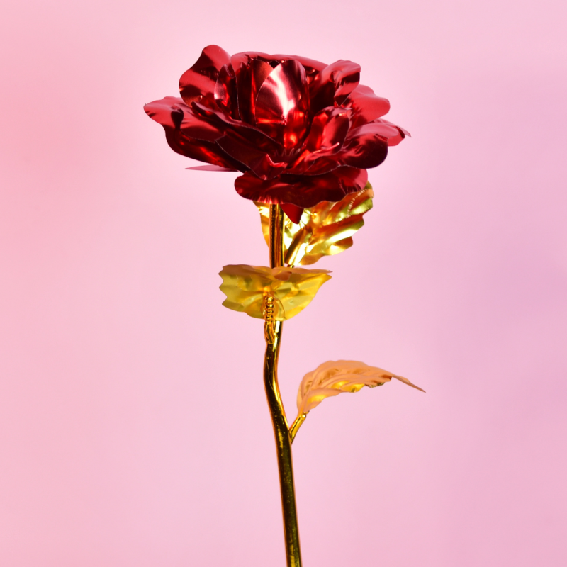 Sowpeace Scarlet Love