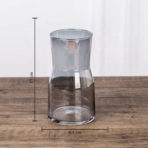 Iridescent Carafe Glass Vase Vases June Trading