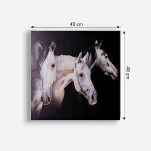 Royal White Horses Canvas Painting Canvas Painting June Trading