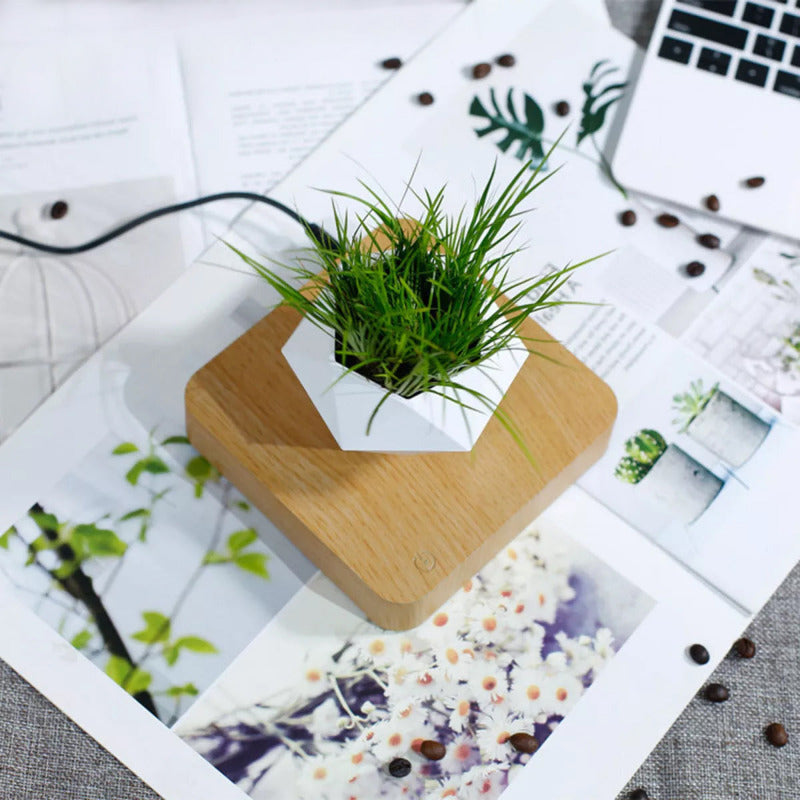 Magnetic Levitating Bonsai Geometric Pot With Wood Grain Base Levitating June Trading