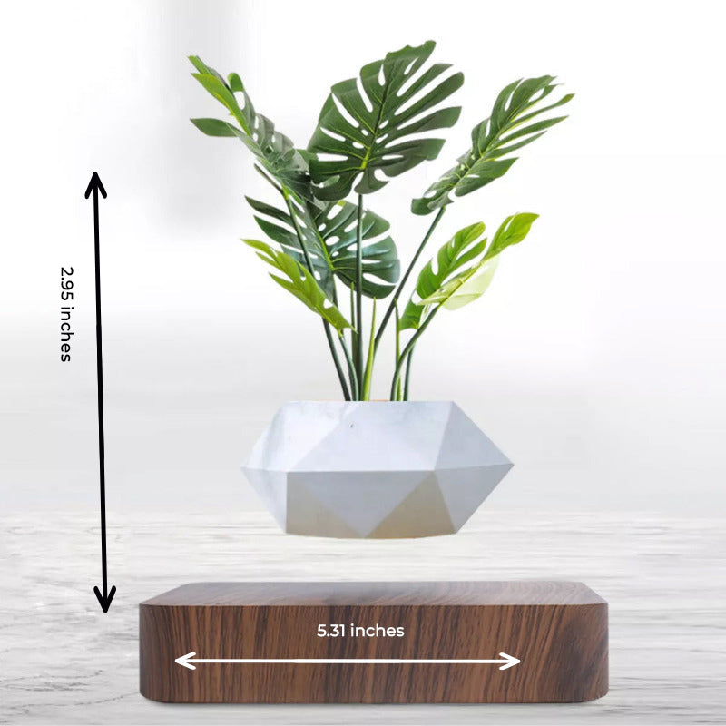 Magnetic Levitating Bonsai Geometric Pot With Wood Grain Base Levitating June Trading