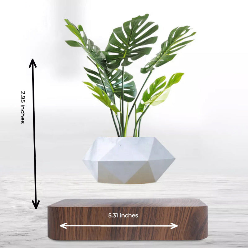 Magnetic Levitating Bonsai Geometric Pot With Wood Grain Base Levitating June Trading   