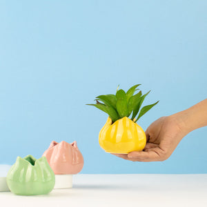 Tulip Flower Vase Vases June Trading