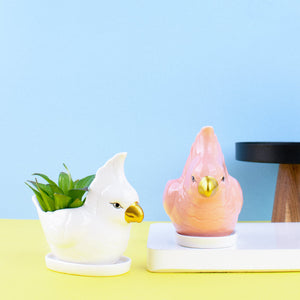 Parrot Ceramic Pot For Plants Planters June Trading