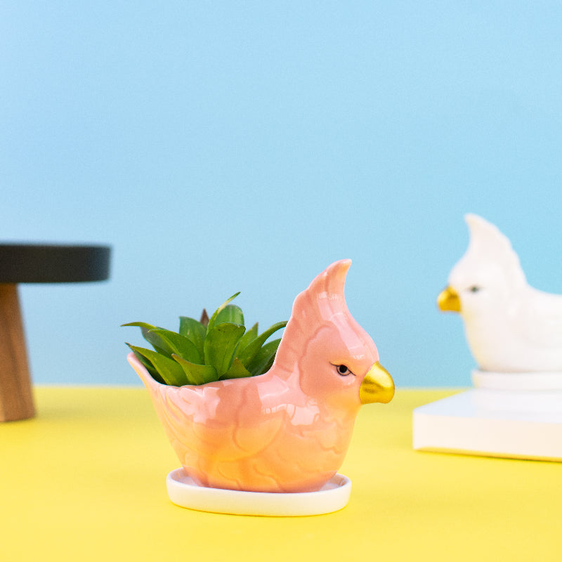 Parrot Ceramic Pot For Plants Planters June Trading