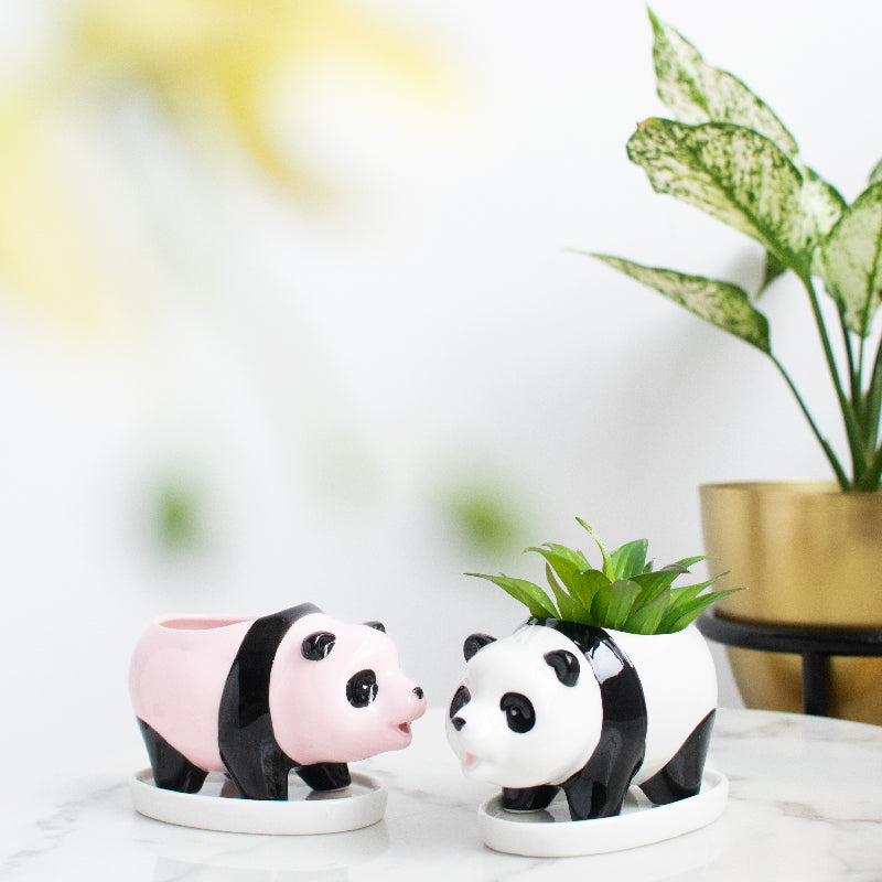 Panda Ceramic Pot For Plants Planters June Trading