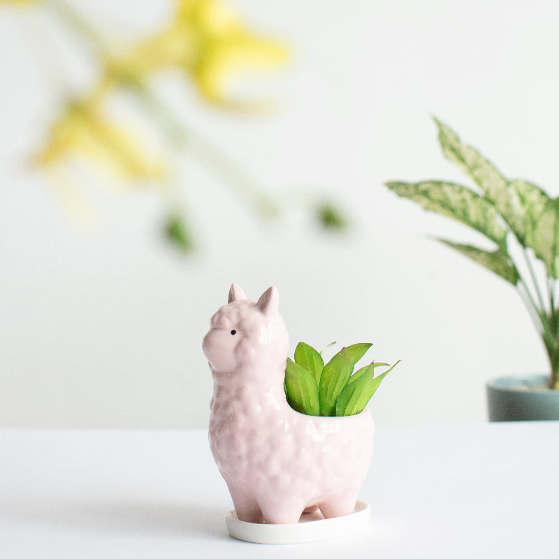 Llama Ceramic Pot For Plants Planters June Trading Crepe Pink