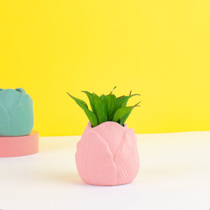 Lotus Bud Ceramic Vase Vases June Trading Light Pink