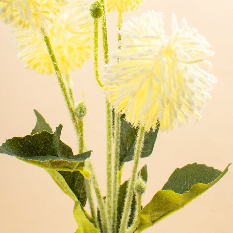Le Souhait Floral Stem