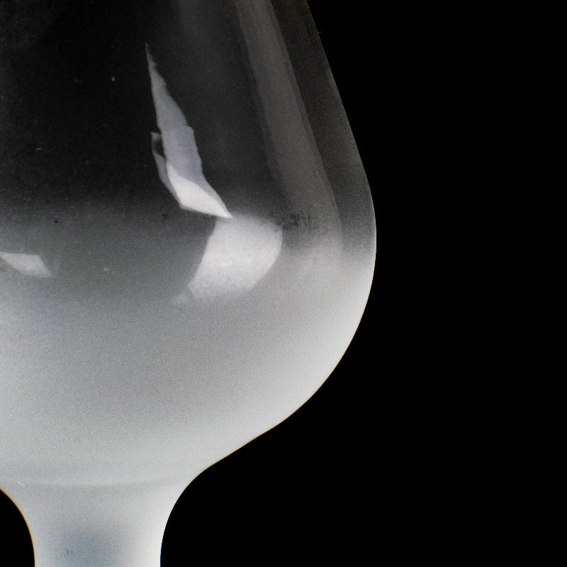 Elite Parlor Frosted Glass (Set of 2) Glasses June Trading