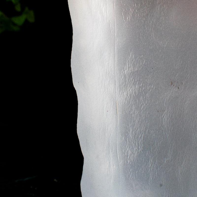 Artisanal Haven Frosted Glass (Set of 4) Glasses June Trading