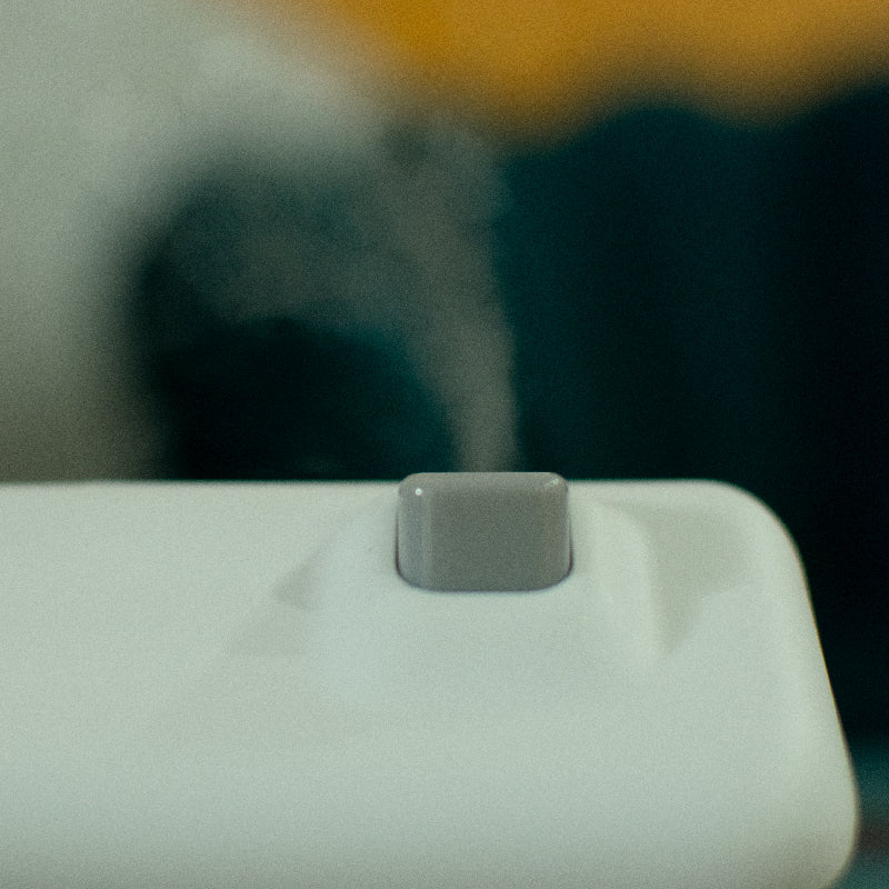 Home Humidifier Lamp Humidifiers June Trading