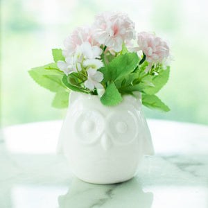 Owl Ceramic Pot For Plants Planters June Trading