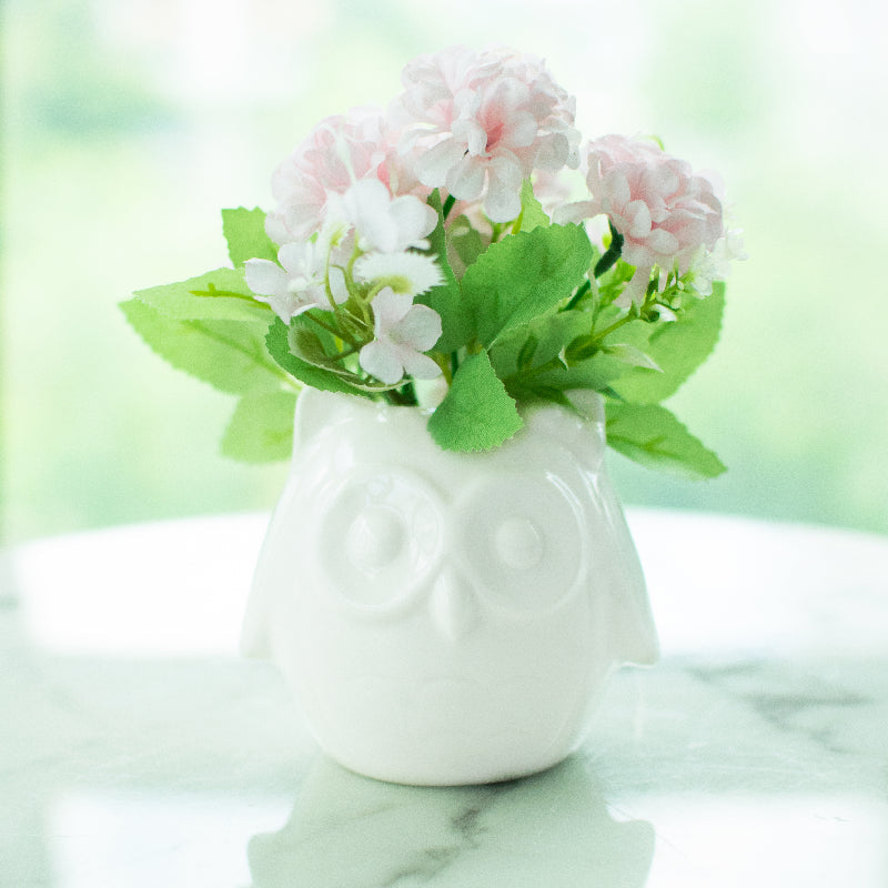 Owl Ceramic Pot For Plants Planters June Trading