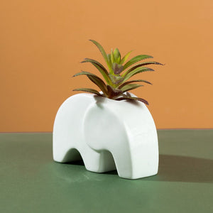 Ellphie Ceramic Pot For Plants Planters June Trading