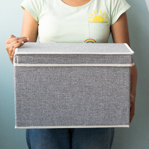 Soft-Hue Foldable Storage Organizer Basic Organisers ERL