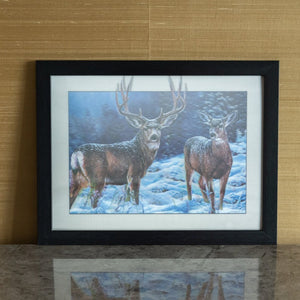 Reindeers - 3D Photo Frame Photo Frames June Trading