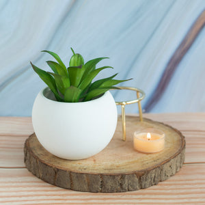 Circular Vase With Gold Metal Stand Vases June Trading