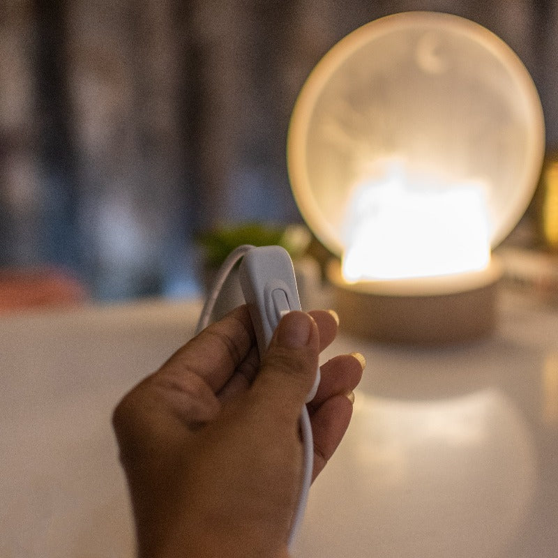 Carousel 3D Light 3D Lights June Trading