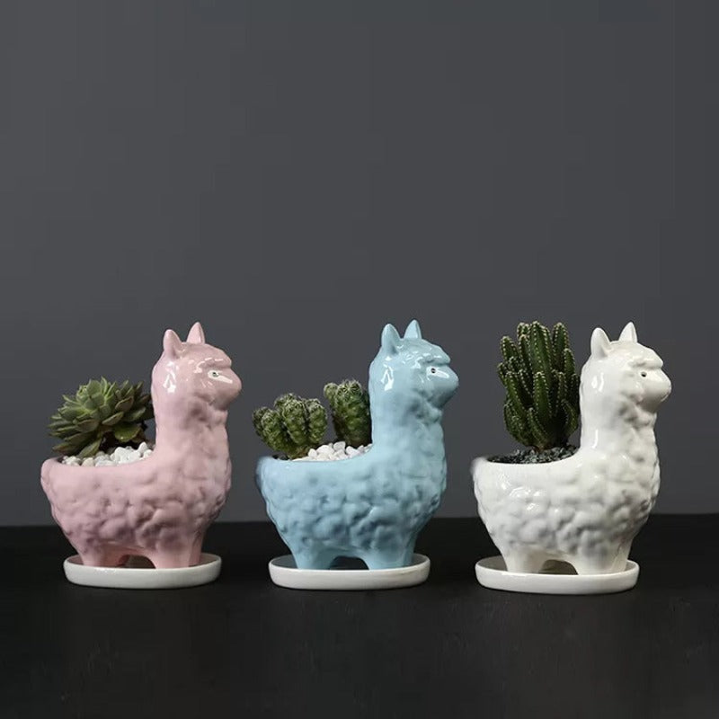 Llama Ceramic Pot For Plants Planters June Trading