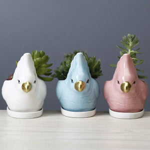 Parrot Ceramic Pot For Plants Planters June Trading