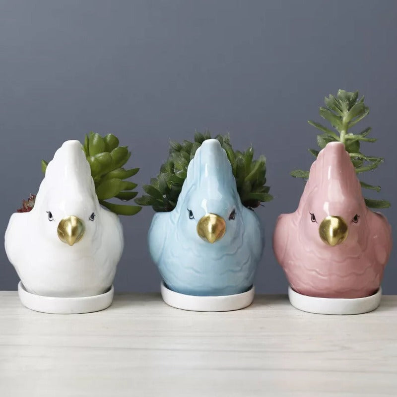 Parrot Ceramic Pot For Plants Planters June Trading