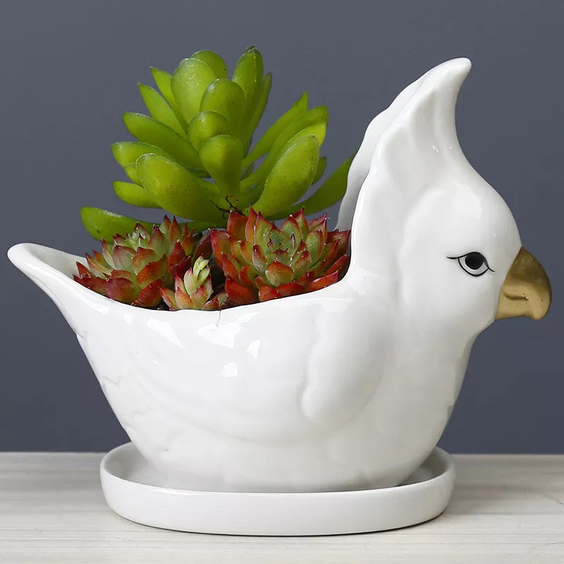Parrot Ceramic Pot For Plants Planters June Trading