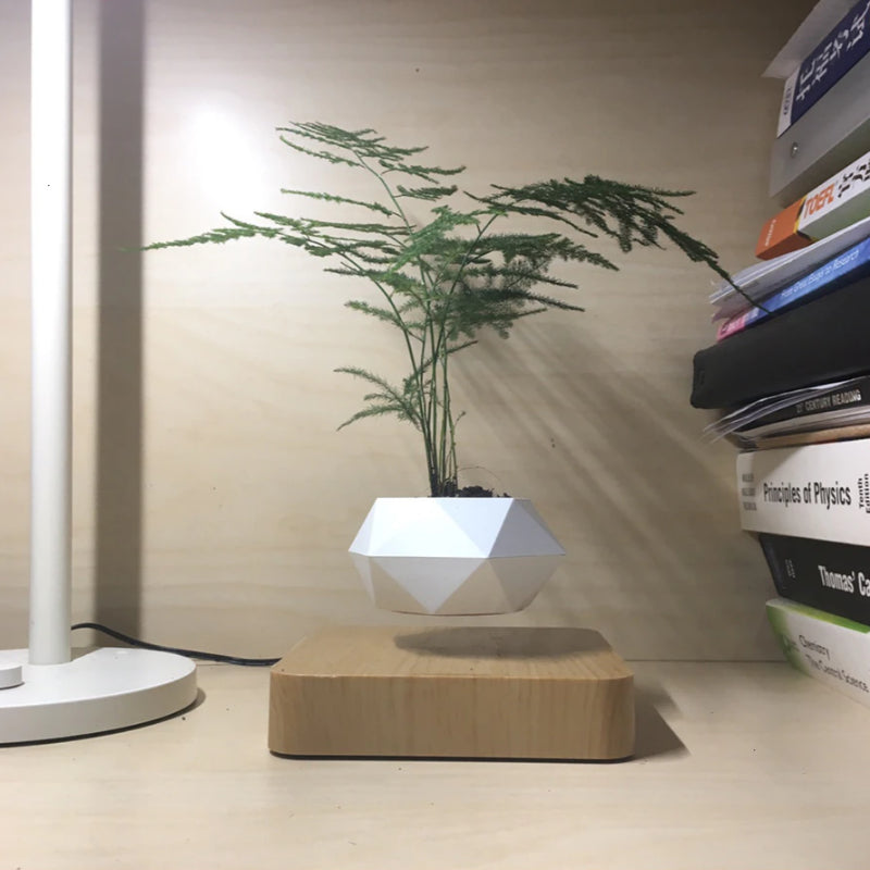 Magnetic Levitating Bonsai Geometric Pot With Wood Grain Base Levitating June Trading Light Wood Base