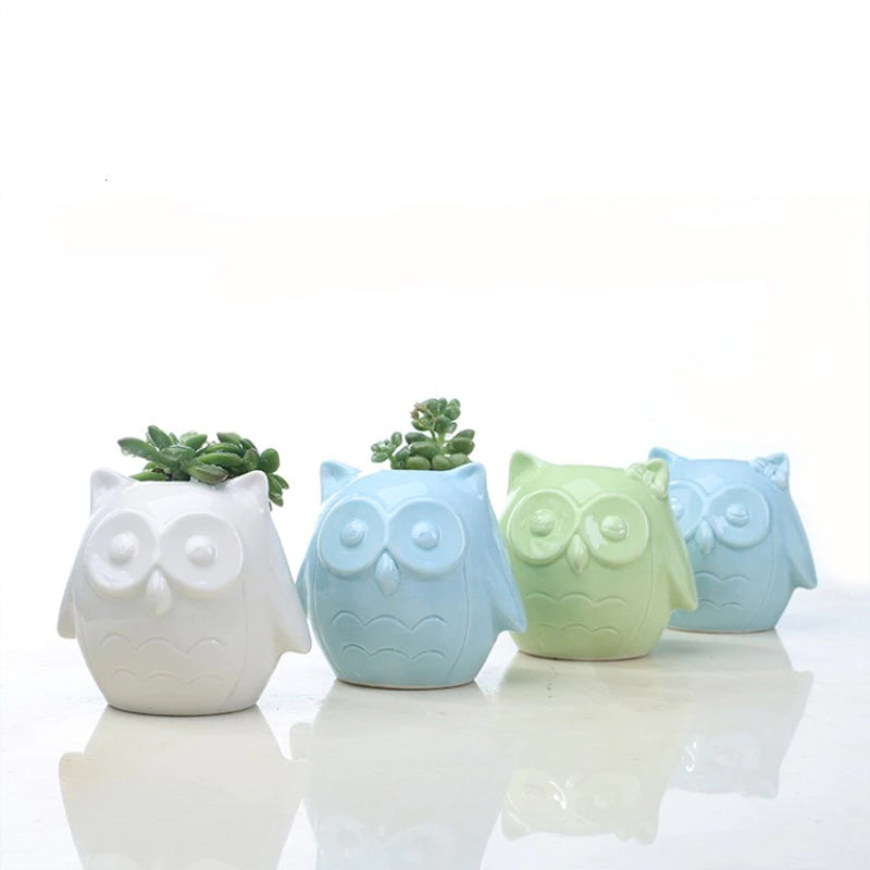 Owl Ceramic Pot For Plants Planters June Trading