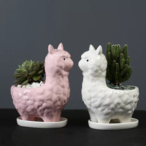 Llama Ceramic Pot For Plants Planters June Trading