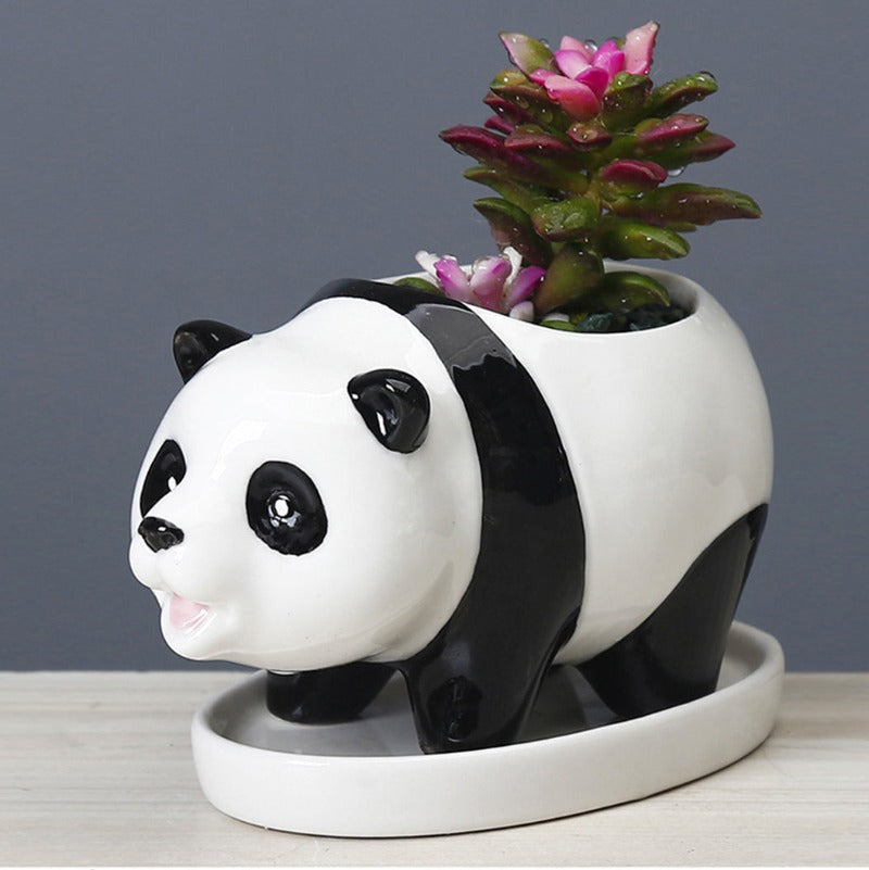 Panda Ceramic Pot For Plants Planters June Trading