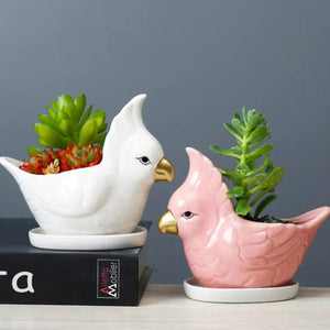 Parrot Ceramic Pot For Plants Planters June Trading