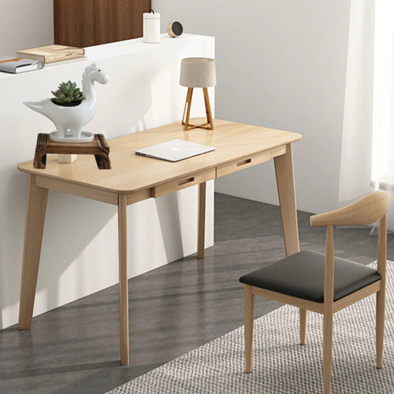 Dinosaur Ceramic Pot For Plants Planters June Trading