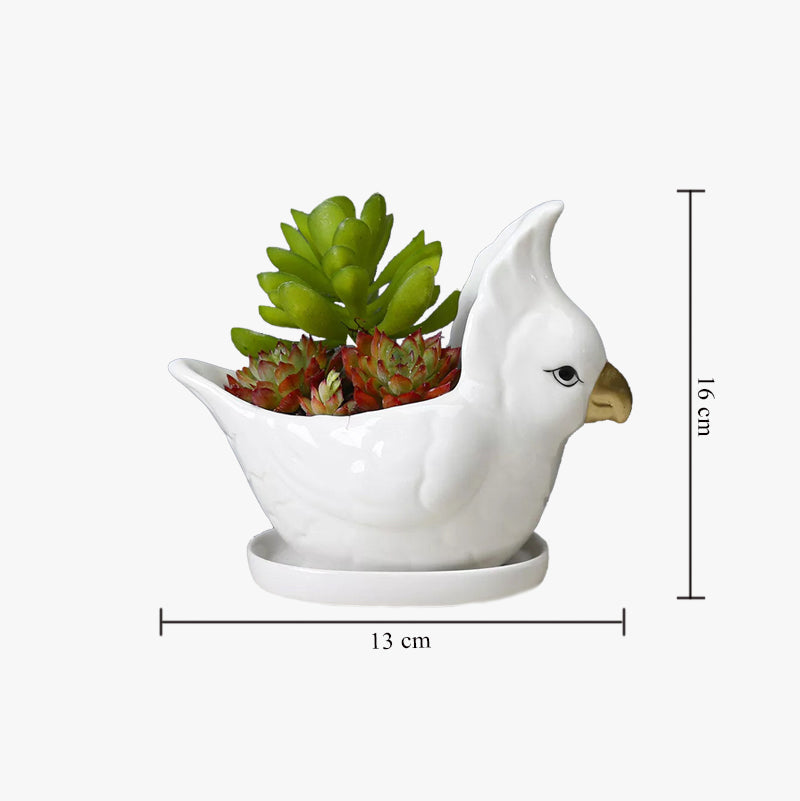 Parrot Ceramic Pot For Plants Planters June Trading