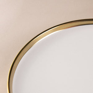 Aurulent Soft-Hued Starter Plate Starter Plates June Trading