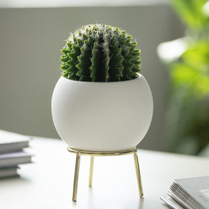 Circular Vase With Gold Metal Stand Vases June Trading