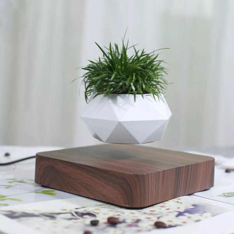 Magnetic Levitating Bonsai Geometric Pot With Wood Grain Base Levitating June Trading Dark Wood Base