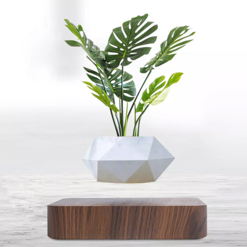 Magnetic Levitating Bonsai Geometric Pot With Wood Grain Base Levitating June Trading