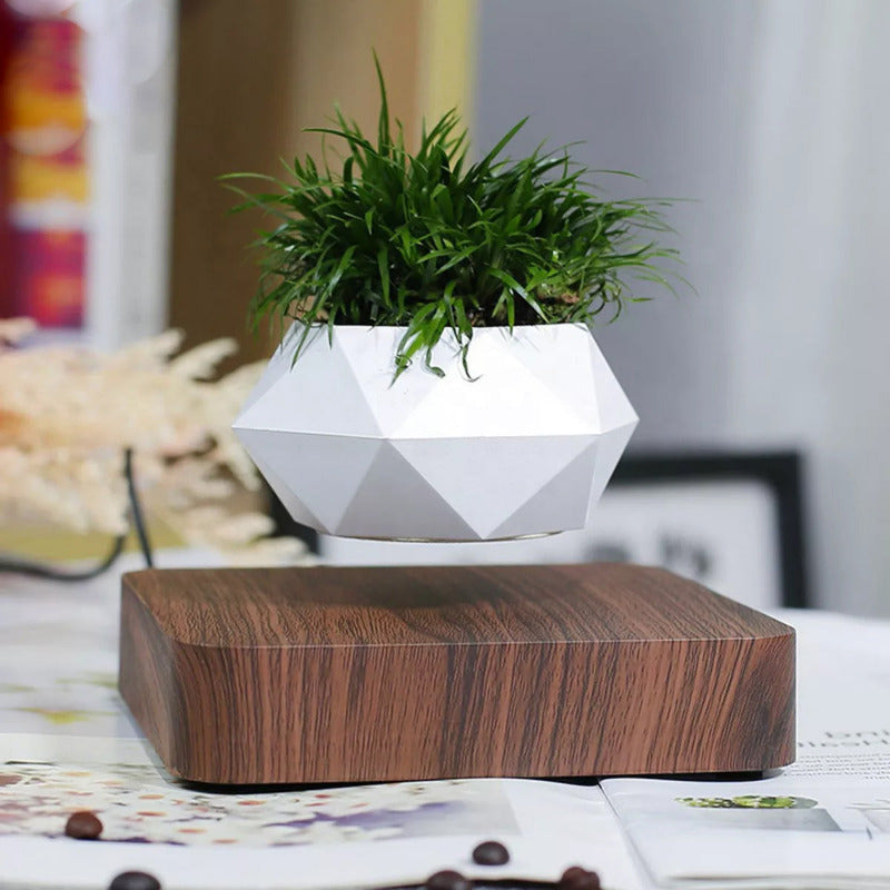 Magnetic Levitating Bonsai Geometric Pot With Wood Grain Base Levitating June Trading
