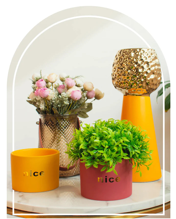 Vases & Planters