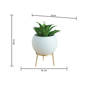 Circular Vase With Gold Metal Stand Vases June Trading   
