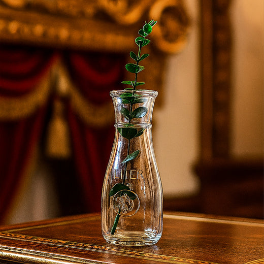 Minimalism Redefined Glass Vase