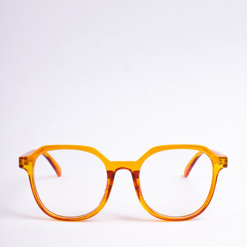 Ray Revolution Eyeglasses