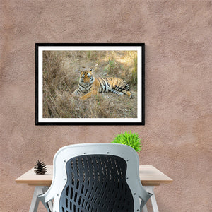 The Bengal Tiger - Photo Frame Photo Frames Lumoarte   