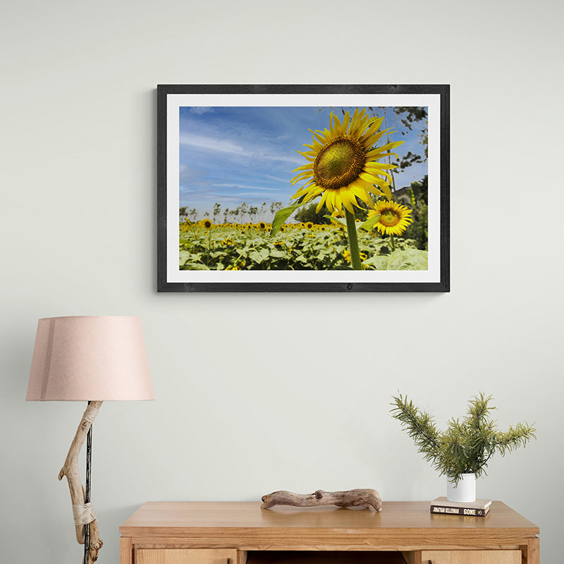 Sunflower Garden - Photo Frame Photo Frames Lumoarte   