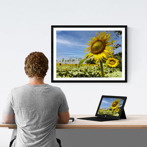 Sunflower Garden - Photo Frame Photo Frames Lumoarte   