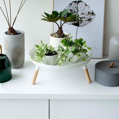 Countertop Pedestal Tray