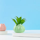 Tulip Flower Vase Vases June Trading Green  