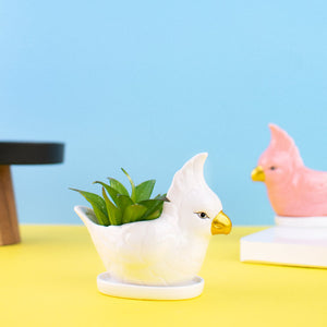 Parrot Ceramic Pot For Plants Planters June Trading Eggshell White  